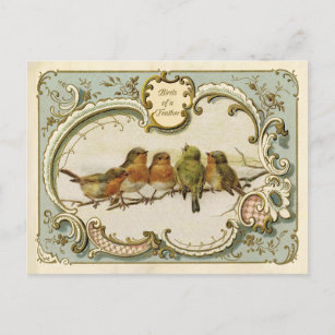 Vögel einer Feather Vintag Reproduction Postcard Postkarte