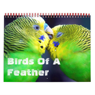Vögel eines Feather-Kalenders Kalender