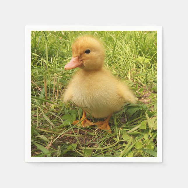 Vögel, Enten, Enten, Enten, Gelb, Natur, niedlich, Serviette (Vorderseite)