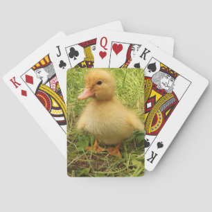 Vögel, Enten, Enten, Enten, Gelb, Natur, niedlich, Spielkarten