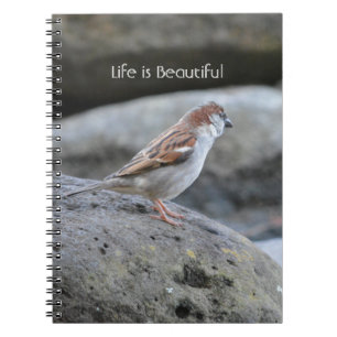 Vogel Felsen Kauai (meine Fotografie) Notizblock