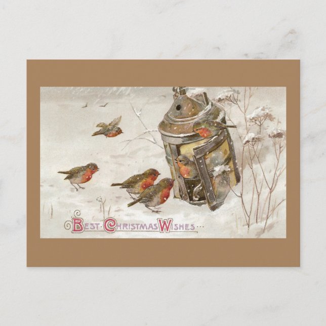 Vögel finden Schutz in Lantern Weihnachten (Vorderseite)