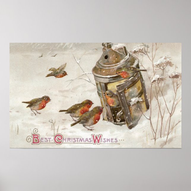 Vögel finden Schutz in Lantern Weihnachten Poster (Vorne)