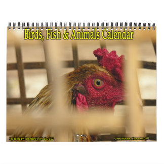 Vögel, Fische und andere exotische Tiere Kalender