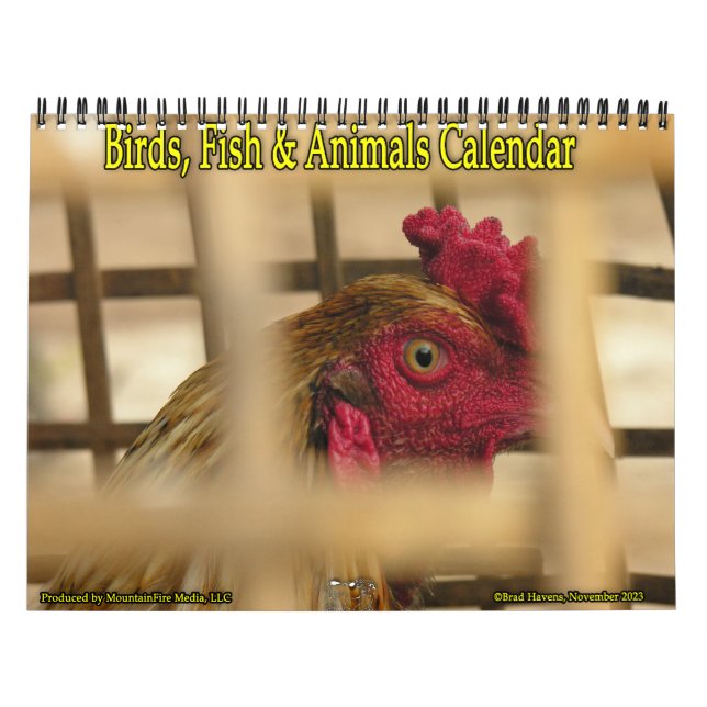 Vögel, Fische und andere exotische Tiere Kalender (Titelbild)