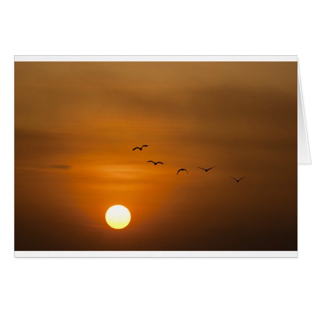 Vögel fliegen bei Sonnenuntergang (Vorderseite (Horizontal))