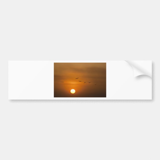 Vögel fliegen bei Sonnenuntergang Autoaufkleber (Vorne)