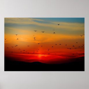 Vögel fliegen bei Sonnenuntergang, malerisches Fot Poster