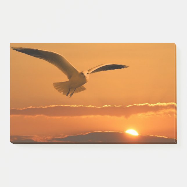 Vögel fliegen bei Sonnenuntergang Post-it Klebezettel (Vorderseite)