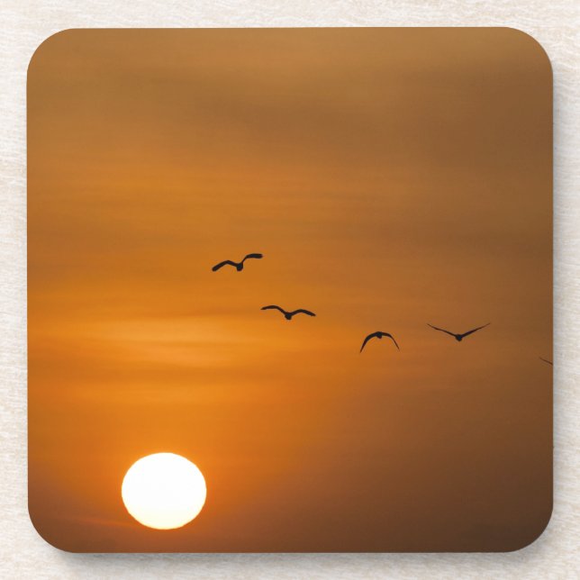 Vögel fliegen bei Sonnenuntergang Untersetzer (Vorderseite)