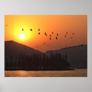 Vögel fliegen im Sonnenuntergangshimmel über den O Poster