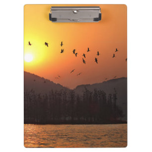 Vögel fliegen in Sunset Sky über dem East Lake Fot Klemmbrett