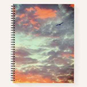 Vogel fliegt rosa Wolken Himmel Foto Notizbuch