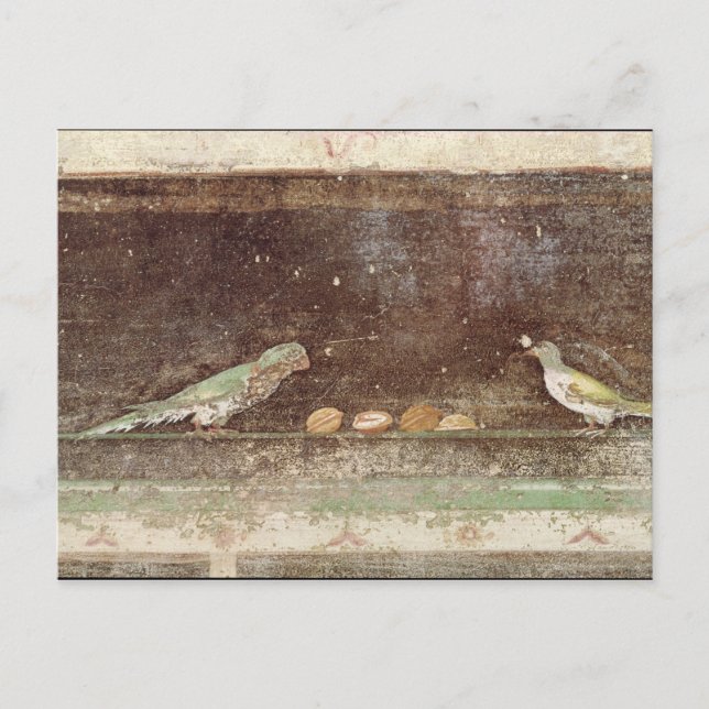 Vögel fressen Nüsse Postkarte (Vorderseite)