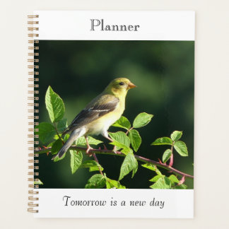Vogel-gelegter Planer