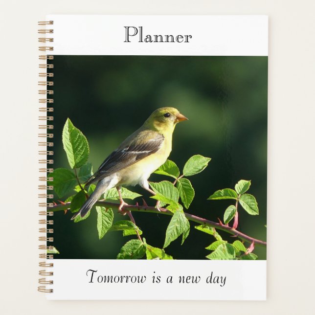 Vogel-gelegter Planer (Vorderseite)