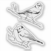 Vögel handgezeichnet schwarz & weiß Moderne Natur