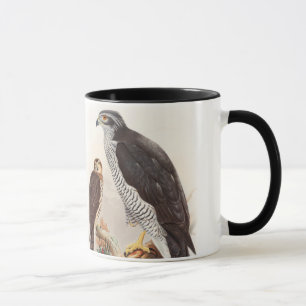 Vögel Hühnerhabicht-Johns Gould von Tasse