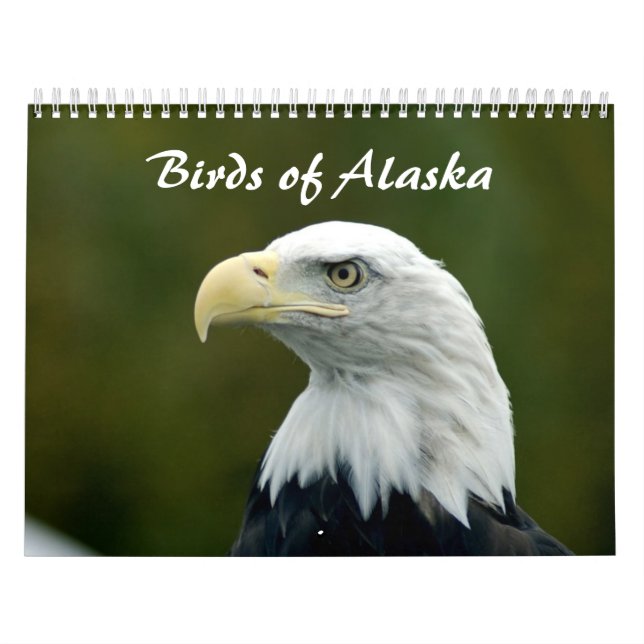 Vögel im Alaska-Kalender Kalender (Titelbild)