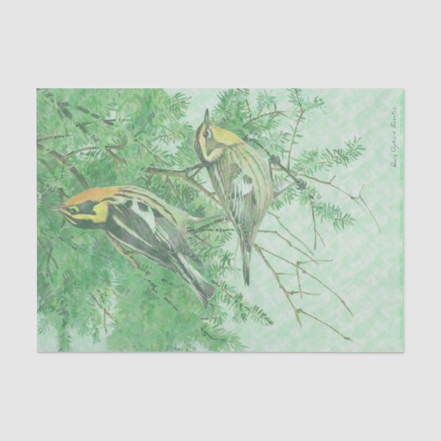 Vögel im Baum-Ast-Seidenpapier Seidenpapier (Vorderseite)