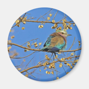 Vogel im Baum Foto Magnet