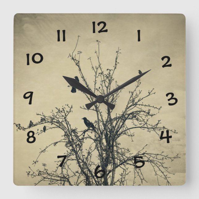 Vögel im Baum - Quadratische Wanduhr (Vorderseite)