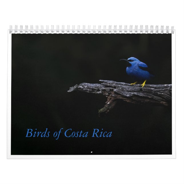 Vögel im Costa Rica-Kalender Kalender (Titelbild)