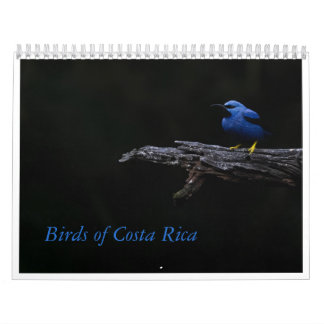 Vögel im Costa Rica-Kalender Kalender