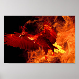 Vogel im Feuer Poster