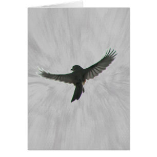 Vogel im Flug