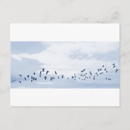 Vögel im Flug Postkarte
