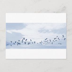 Vögel im Flug Postkarte