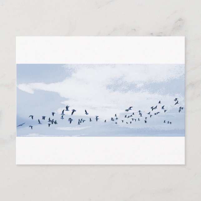 Vögel im Flug Postkarte (Vorderseite)