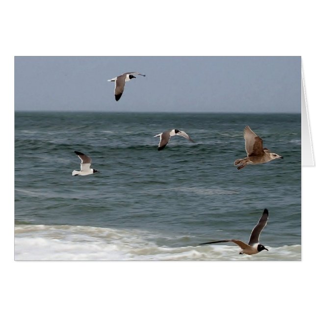 Vögel im Flug von Shirley Taylor (Vorderseite (Horizontal))
