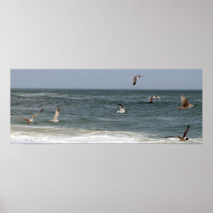 Vögel im Flug von Shirley Taylor Poster