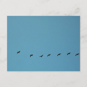 Vögel im Flugformations-Strandfotografie Postkarte