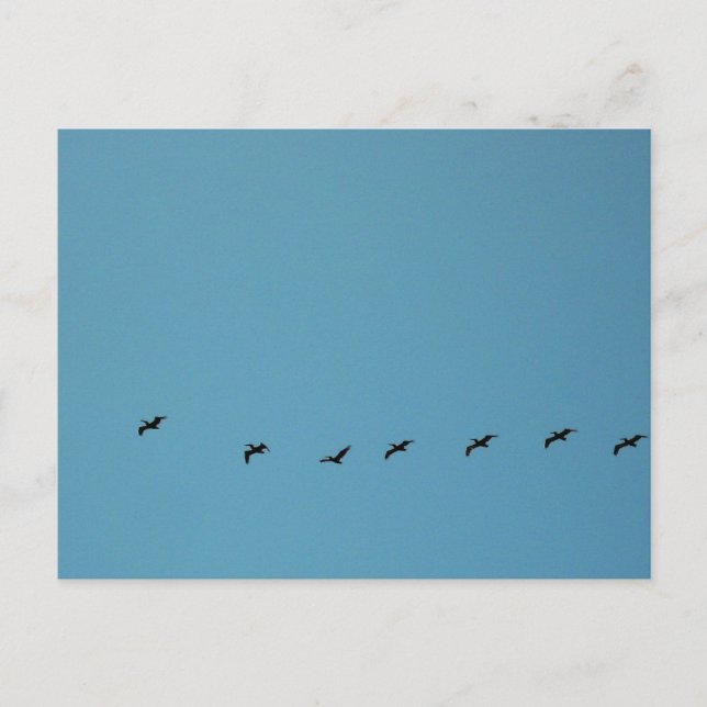 Vögel im Flugformations-Strandfotografie Postkarte (Vorderseite)