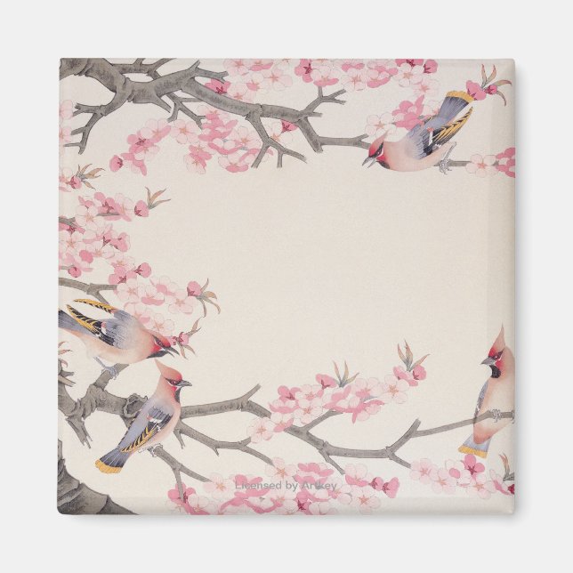 Vögel im Frühling singen Magnet (Vorne)