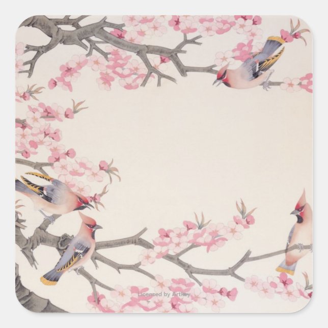 Vögel im Frühling singen Quadratischer Aufkleber (Vorderseite)