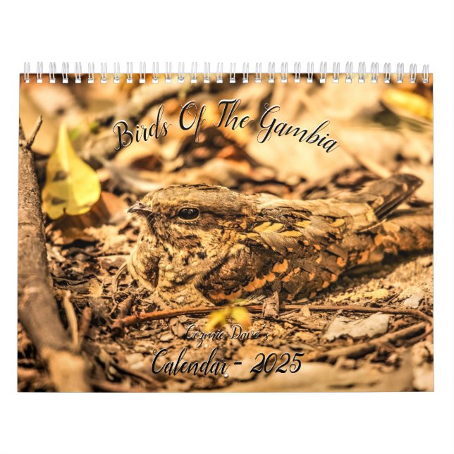 Vögel im Gambia-Kalender Kalender (Titelbild)