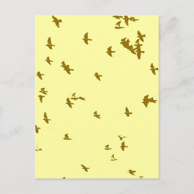 Vögel im Himmel Postkarte (Vorderseite)