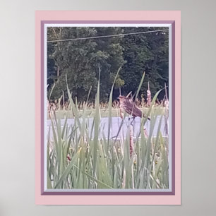 Vogel im hohen Gras Poster