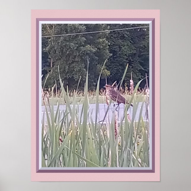 Vogel im hohen Gras Poster (Vorne)