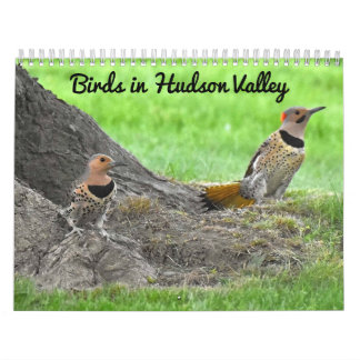 Vögel im Hudson-Tal Kalender