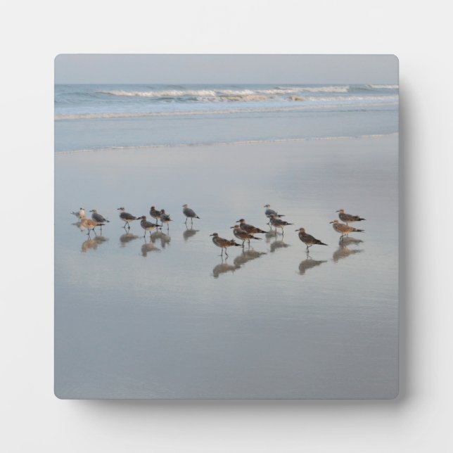 Vögel im Meer Wellen Natur Wildtiere Fotoplatte (Vorderseite)