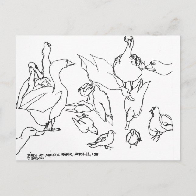 Vögel im Mingus Park, Coos Bay, Oregon Postkarte (Vorderseite)