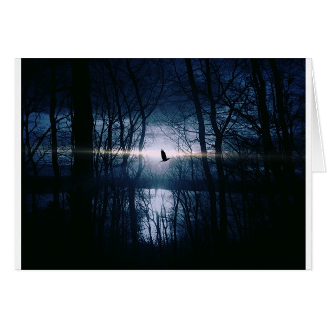 Vogel im Mondlicht (Vorderseite (Horizontal))