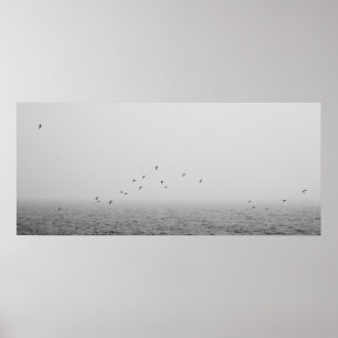Vögel im Nebel Poster