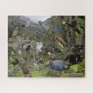 Vögel im neuseeländischen Puzzle