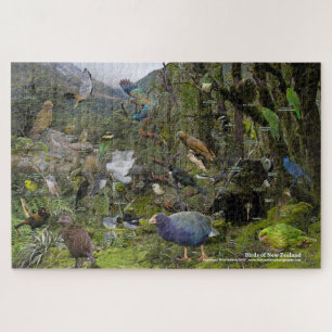 Vögel im neuseeländischen Puzzle